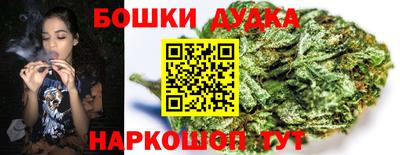 прущие грибы Аша