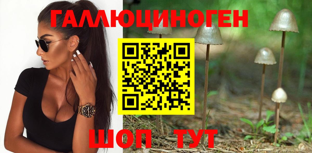 Псилоцибиновые грибы Magic Shrooms  где купить наркоту  Вход с VPN  Нальчик  Псилоцибиновые грибы Magic Shrooms 